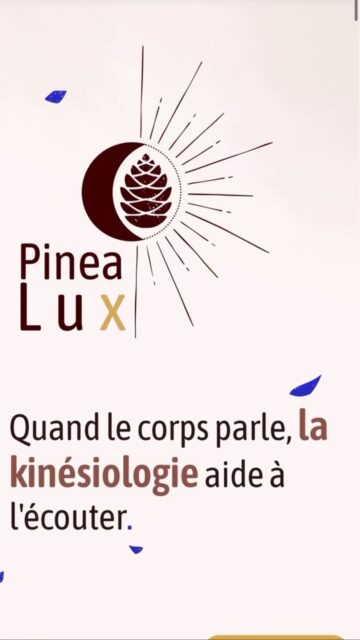 Beaucoup de joie et aussi un peu d’appréhension ! 🤎Dites-moi en commentaires ce que vous en pensez 😊

www.pinealux-kinesiologie.fr

PS : les robots vont mettre quelques jours à l’indexer, tapez directement l’URL dans votre moteur de recherche préféré !

Cette merveille a été développée par @quentin.meneghin qui au delà de son savoir-faire a su être patient (vous n’imaginez pas toutes les questions que je lui ai posées ou tous les choix qu’on a dû faire🤪), pédagogue, à l’écoute, créatif et toujours force de proposition. Le tout avec le sourire. Ça a été un plaisir de travailler ensemble. Un grand merci Quentin 🙏
Si vous avez envie d’être accompagné.e sur la création de votre site Internet je vous le recommande !