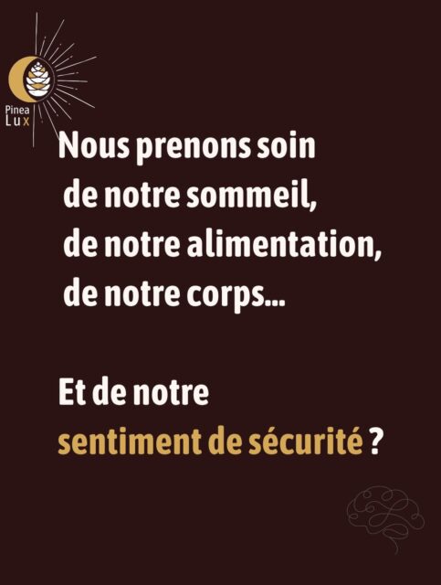 Nous pensons assez spontanément à prendre soin de notre sommeil, de notre alimentation ou de notre santé physique.Beaucoup moins à nous demander :« Dans quel état fonctionne mon système nerveux en ce moment ? »Pourtant, notre sentiment de sécurité influence la manière dont nous mobilisons nos ressources.Lorsque notre système nerveux se sent suffisamment en sécurité, davantage d’énergie peut rester disponible pour apprendre, réfléchir, créer, coopérer, récupérer ou réguler nos émotions.À l’inverse, lorsque l’alerte se prolonge, une partie de ces ressources reste mobilisée à surveiller, anticiper et s’adapter.Et la rentrée est assez intéressante pour l’observer.Nouveaux horaires, nouvelle organisation, reprise du travail ou de l’école, activités, trajets, imprévus… Même lorsque tout « va bien », notre système nerveux doit intégrer de nombreux changements.J’aime beaucoup l’image des fondations d’une maison.Une fois la construction terminée, elles deviennent presque invisibles. Pourtant, toute la maison repose dessus.La sécurité intérieure joue un rôle comparable : elle n’est pas toujours spectaculaire ni même perceptible, mais elle constitue un terrain sur lequel beaucoup d’autres choses peuvent ensuite devenir plus accessibles.Et elle n’est pas un objectif que l’on atteint une fois pour toutes.C’est un équilibre vivant, qui se construit et se nourrit au fil de nos expériences.Peut-être qu’en cette rentrée, la bonne question n’est donc pas seulement :« Comment vais-je réussir à tout faire ? »mais aussi :« Qu’est-ce qui, en ce moment, aide mon système nerveux à retrouver suffisamment de sécurité ? »
