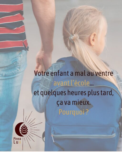 « J’ai mal au ventre… »
Et cette phrase arrive justement au moment de mettre les chaussures, de prendre le cartable ou de partir à l’école.
Puis, parfois, quelques heures plus tard, le ventre semble aller beaucoup mieux.

Alors forcément, on peut se demander :
Est-ce qu’il a vraiment mal ?

Oui. La douleur peut être parfaitement réelle.

Le cerveau et le système digestif communiquent en permanence. Le système nerveux autonome participe à ces échanges, notamment par l’intermédiaire du nerf vague.

Lorsqu’un enfant ressent une inquiétude importante ou anticipe une situation difficile, cette activation peut temporairement modifier son fonctionnement digestif.
Le ventre peut alors se nouer.
Des douleurs peuvent apparaître.
Parfois des nausées ou une perte d’appétit.

Cela ne signifie pas que l’enfant invente.
Mais cela ne signifie pas non plus que l’on peut conclure automatiquement :
« Son mal de ventre est émotionnel. »

C’est justement là que la nuance est importante.
Une manifestation physique mérite d’être entendue comme telle. Lorsque les symptômes sont inhabituels, persistants ou inquiétants, ils nécessitent un avis médical.

Et lorsque le bilan est rassurant, observer dans quelles situations le ventre réagit peut parfois apporter une information supplémentaire sur ce que l’enfant vit ou anticipe.

Le cerveau et le ventre ne vivent pas chacun de leur côté.
Ils dialoguent en permanence.

Et parfois, le ventre se fait entendre avant que l’enfant puisse expliquer avec des mots ce qui l’inquiète.