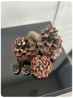 cabinet-kinesiologie-pinealux-pauline-chassignol-4